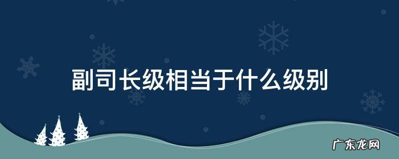 司长是什么级别 副司长级相当于什么级别