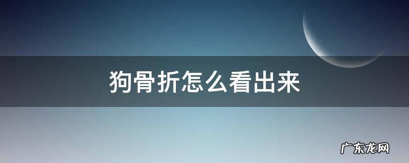 狗骨折了怎么看出来 狗骨折怎么看出来