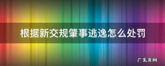 根据新交规肇事逃逸怎么处罚 肇事逃逸怎么处罚新交规肇事逃逸违反条款