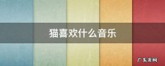 猫喜欢什么音乐 猫喜欢听什么音乐?