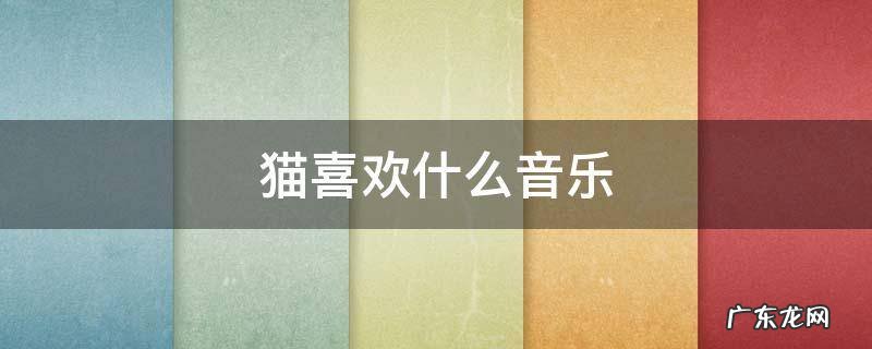 猫喜欢什么音乐 猫喜欢听什么音乐?