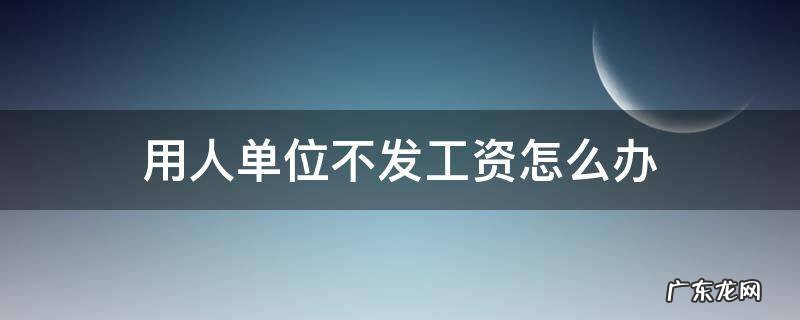 用人单位不发工资怎么办 用人单位不发工资怎么办?