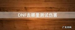 dnf怎么测伤害最准确 DNF去哪里测试伤害