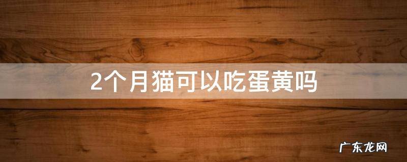 两个月猫可以吃蛋黄吗 2个月猫可以吃蛋黄吗