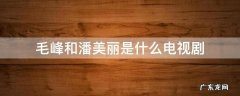 毛峰和潘美丽是什么电视剧 毛峰和美丽是哪个电视剧里的人物