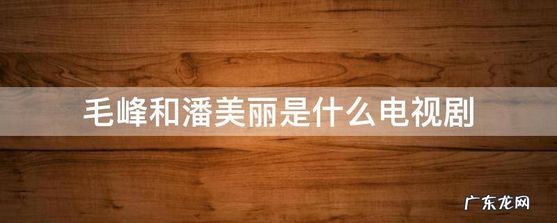 毛峰和潘美丽是什么电视剧 毛峰和美丽是哪个电视剧里的人物