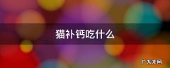 猫补钙吃什么 小奶猫补钙吃什么