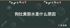 狗吐黄胆汁 狗吐黄胆水是什么原因