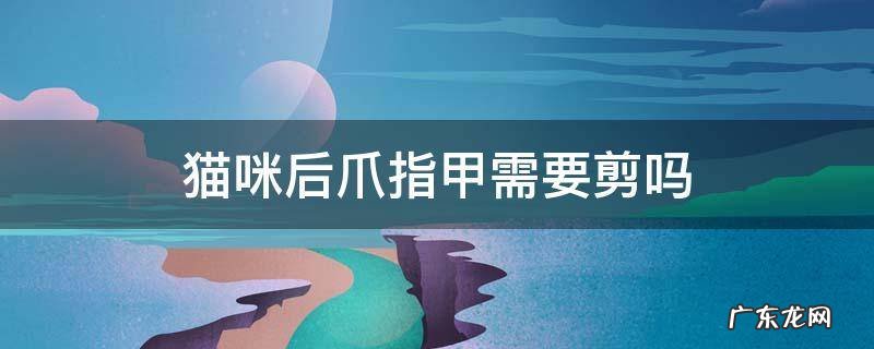 猫咪的后爪指甲要剪吗? 猫咪后爪指甲需要剪吗