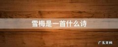 雪梅是一首什么诗(写景,咏物,抒情 雪梅是一首什么诗