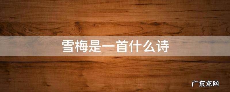 雪梅是一首什么诗(写景,咏物,抒情 雪梅是一首什么诗