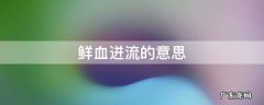 鲜血迸流的意思 鲜血迸流的意思迸的意思