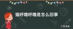 猫总呼噜呼噜是什么情况 猫呼噜呼噜是怎么回事