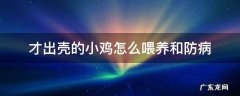 才出壳的小鸡怎么喂养和防病 小鸡出壳后如何喂养
