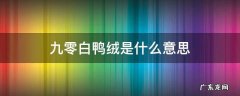 白鸭绒是什么意思 九零白鸭绒是什么意思