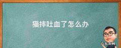 猫摔到吐血 猫摔吐血了怎么办