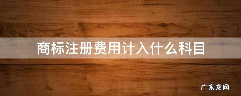 商标注册费用计入什么科目 商标注册费用计入哪个科目