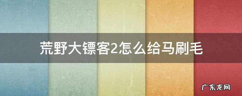 荒野大镖客2给马刷毛方法 荒野大镖客2怎么给马刷毛