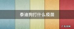 泰迪狗打什么疫苗多少钱 泰迪狗打什么疫苗