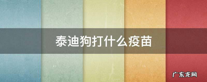 泰迪狗打什么疫苗多少钱 泰迪狗打什么疫苗