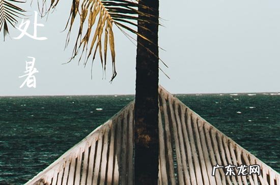 处暑交运是前三天还是后三天 处暑交运是哪一天