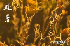 处暑就是夏天结束了吗 处暑还热吗