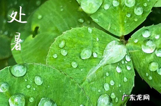 2023年处暑以后会有台风吗 2023处暑以后还有暴雨天气吗