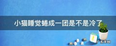 小猫睡觉蜷成一团是不是冷了 猫蜷缩着睡觉是因为冷吗
