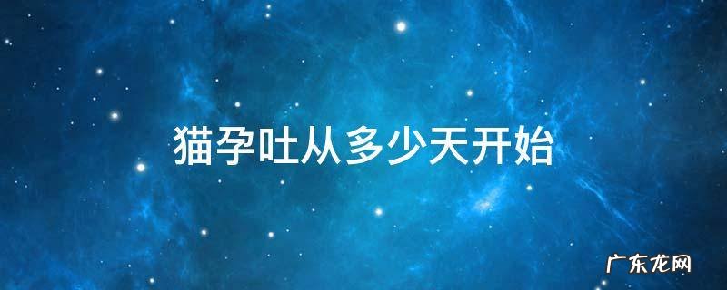 猫孕吐从多少天开始 猫怀孕后呕吐多长时间