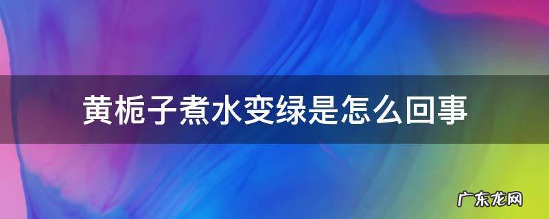 黄栀子煮水变绿是怎么回事 黄栀子水变绿有毒