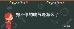 狗狗不停喘气 狗不停的喘气是怎么了