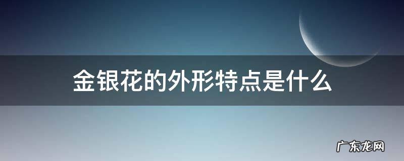 金银花的外形特点是什么 金银花的主要特征