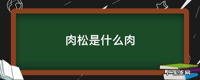 N多寿司的肉松是什么肉 肉松是什么肉