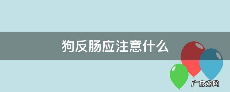 狗反肠应注意什么 狗翻肠多久能好