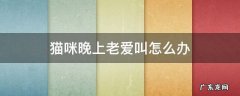 猫咪晚上老叫怎么回事 猫咪晚上老爱叫怎么办