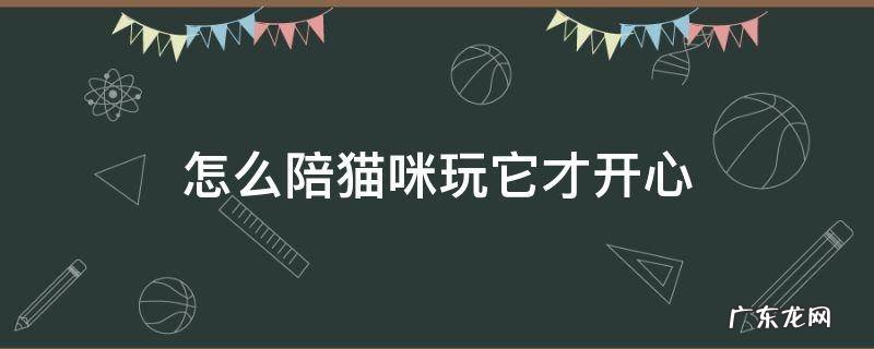 怎么陪猫咪玩它才开心 如何陪猫咪玩耍