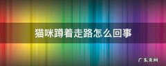 猫咪半蹲着走路 猫咪蹲着走路怎么回事
