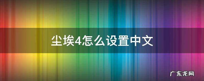 尘埃4怎么设置中文语音 尘埃4怎么设置中文