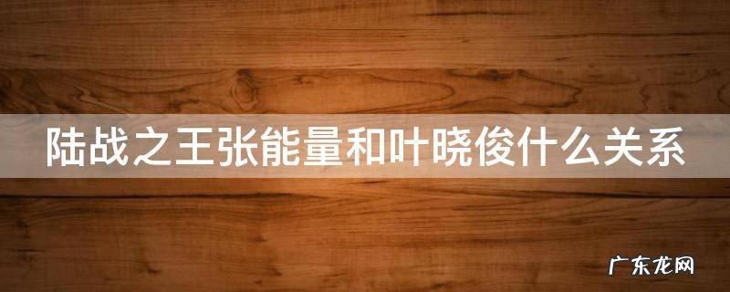 陆战之王张能量和叶晓俊什么关系 陆战之王叶晓俊和张能量的关系