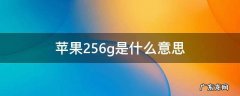 苹果256g是什么意思 苹果256g啥意思