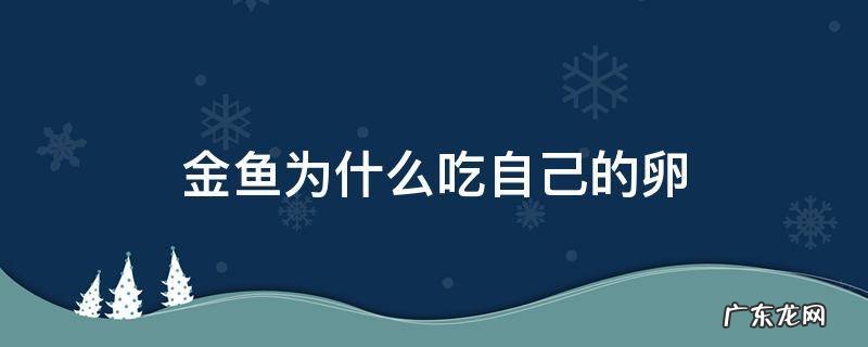 金鱼为啥吃自己的卵 金鱼为什么吃自己的卵