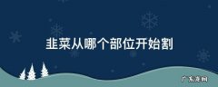 韭菜从哪个部位开始割 割韭菜是什么时候出来的
