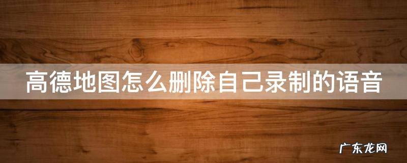 高德地图如何删除自己录制的语音 高德地图怎么删除自己录制的语音