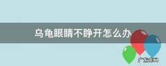 乌龟不睁开眼睛怎么办? 乌龟眼睛不睁开怎么办