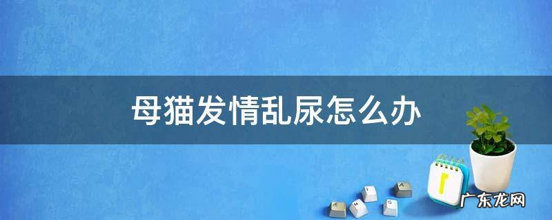 母猫发情乱尿怎么办