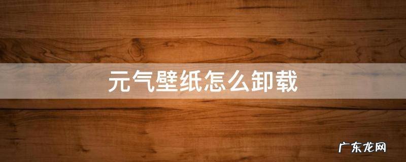 怎样卸载元气壁纸 元气壁纸怎么卸载