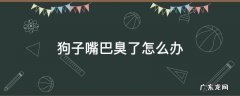 狗子嘴巴特别臭怎么办 狗子嘴巴臭了怎么办