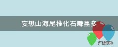 妄想山海尾椎化石哪里多 妄想山海尾部化石长什么样