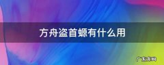 方舟生存进化盗首蝾螈有用吗 方舟盗首螈有什么用