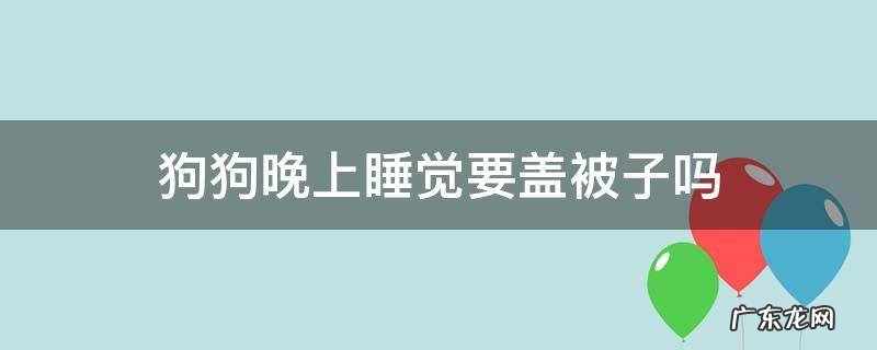 狗狗晚上睡觉要盖被子吗 狗狗睡觉要不要盖被子?